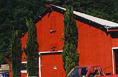 barn2-small.jpg