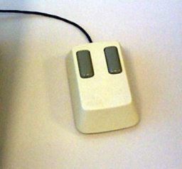 mouse.JPG