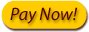 paynow.gif